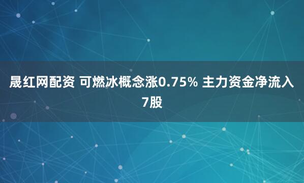 晟红网配资 可燃冰概念涨0.75% 主力资金净流入7股