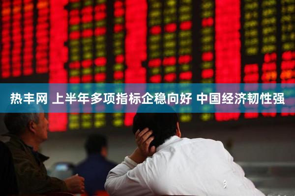 热丰网 上半年多项指标企稳向好 中国经济韧性强